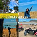 충남 여행지 가볼만한곳 태안 2박3일 여행코스 추천 (관광지 액티비티 맛집 카페)