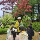 성북병설유치원 | 6세 봄, 여름 체험학습 기록 - 애벌레, 매미, 수중 생물 등