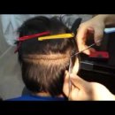 법의의원 이미지