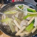 또바기닭한마리