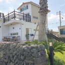 제주마중 판포 이미지