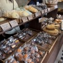 미니스톱 부산전포대로점 | 부산 전포 빵 투어 1탄 빵순이 필수 코스 희와제과 자세한 솔직 후기(가격,추천빵)