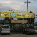 권씨네 이미지