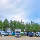 동산리 해수욕장 화장실 이미지