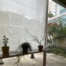 토스티토스트 | [속초_토스티데이즈]속초 신상 브런치 카페 소개(프렌치토스트 추천)