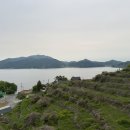 파인트리리조트 | [남해] 파인트리리조트펜션