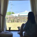 소락뜨레 이미지