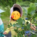 운산농원 이미지