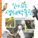 새 Daum카페