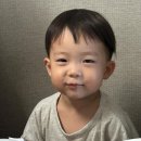 태하 카카오 검색결과