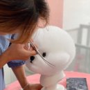 귀엽꾸멍 이미지