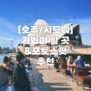 시드니레스토랑호프 | [시드니] 시드니 명소/가볼만 한 곳 - 오페라 하우스...본다이비치 방문 후기 (포토스팟,루나파크...