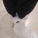 뉴타운댄스 이미지