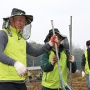 당동2리 파이낸셜뉴스
