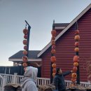 (주)인페르노 | [토론토니안] 펌킨 인페르노 in Midland