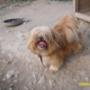 사정약수가든 이미지