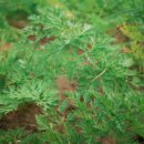 모모문구사 | 제주도 여행을 다녀왔다.