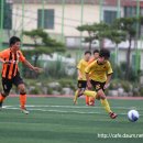 용인(강릉) 이미지