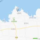 씨에코비치 이미지