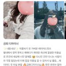 금희미용실 - 영주시 | 금희미용실