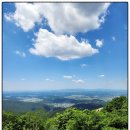 국제국내결혼상담 이미지