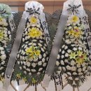 경상북도포항의료원 이미지