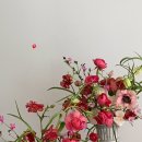 핏어팟(pit A pat) 이미지