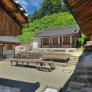 영천 영지사 대웅전 후불탱화 이미지