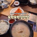 성포문구 | 안산 성포동 맛집 모락모락설렁탕 중앙역 점심 국밥 추천