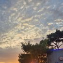 아라가온 이미지