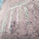 대련농장 이미지