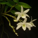 석곡중학교 이미지