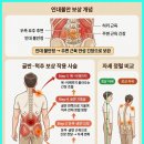 자연안에한의원중구점 네이버블로그