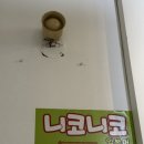 니코니코일본어
