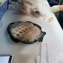 노량진수산시장 당진수산 후기| 회 가격, 구성, 방문후기 내돈내산