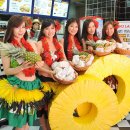 하와이안 훌라댄스 이미지