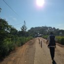 카리브민박 이미지