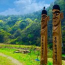 송학1리 마을회관 이미지