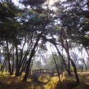(주)삼능