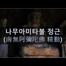 나무아미타불 정근(南無阿彌陀佛 精勤) - 혜광 스님 독송 이미지