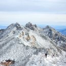 제 123회 12월 정기산행 (충남) 계룡산 송년산행 이미지