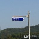 김재옥길 이미지