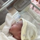 조은산후조리원 | [조은미래산후조리원 이용 후기] 황도가 태어났다!