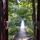 고성군 11 이미지