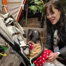 매천한의원 이미지