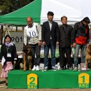 Gumiland 이미지