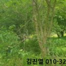 연천군양원리보건진료소 이미지