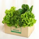 그린어스 이미지