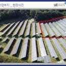 보은 태양광발전소 이미지