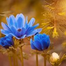 멍화만사성 이미지